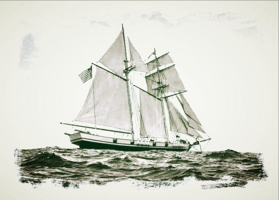 Baltimore Clipper - Info