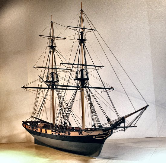 image of model